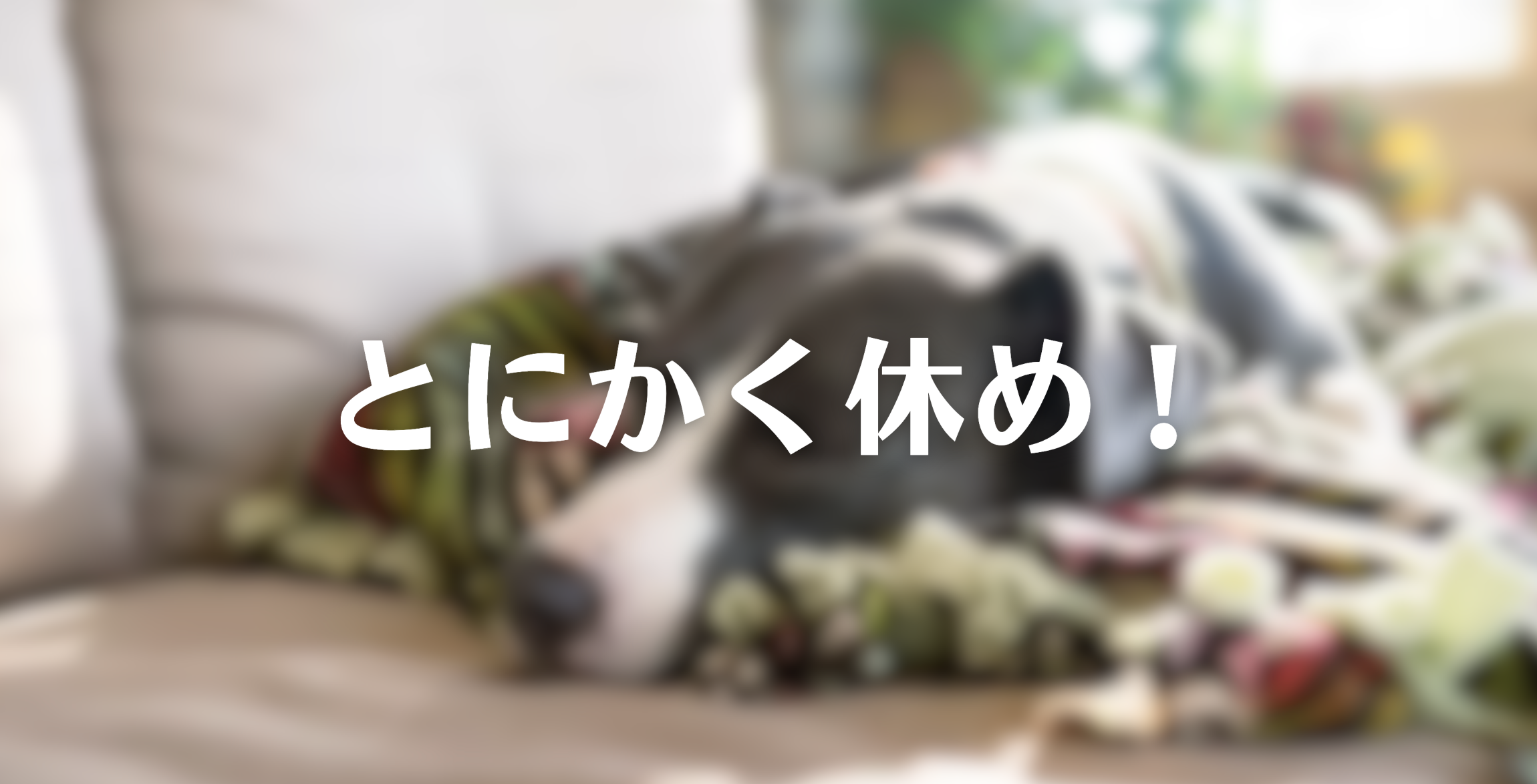【要約】とにかく休め! ー休む罪悪感が吹き飛ぶ神メッセージ88|本の紹介・あらすじ・書評・感想・レビュー・まとめ - Dolly Blog